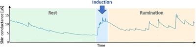 Depressive rumination and heart rate variability: A pilot study on the effect of biofeedback on rumination and its physiological concomitants